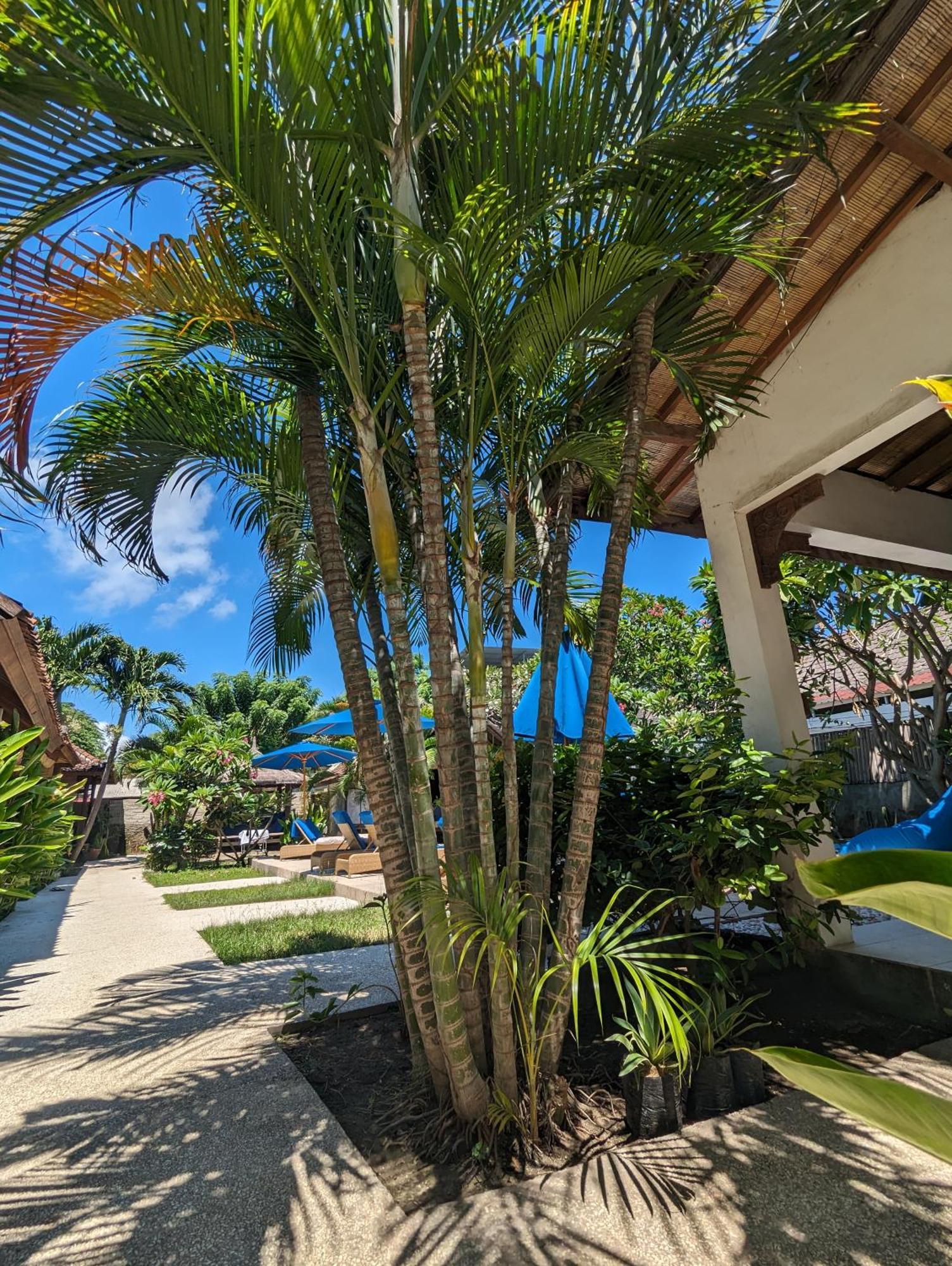 Indigo Bungalows Gili Trawangan Bagian luar foto